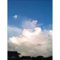 藤沢 のん