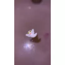 ユメ