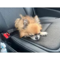 めい