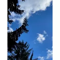 成海 まお