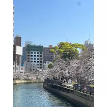 七星 舞冬