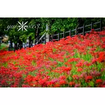 神崎　唯