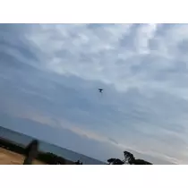 ゆずる