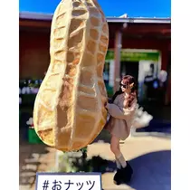 桜井 みなみ