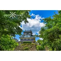 神崎 唯
