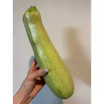 咲良 水月
