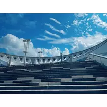 小川 真央