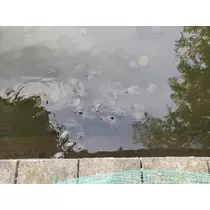 エミ （スタッフ）