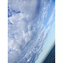 ゆかり