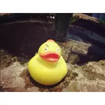 コウ