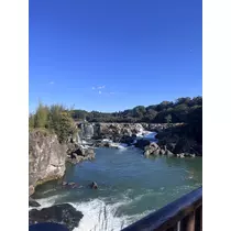 あおい
