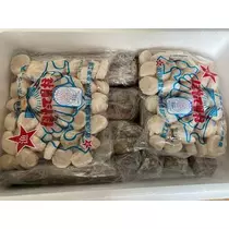 長瀬 純恋