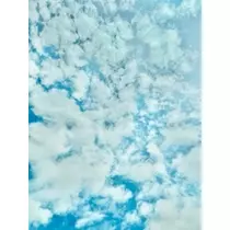 ゆかり