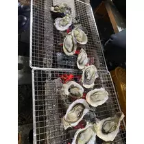 ハル