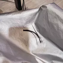 荒木 ナツミ