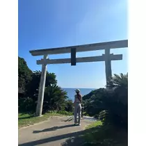 のぞみ