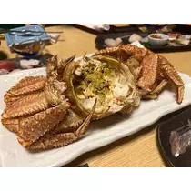 檀 れん