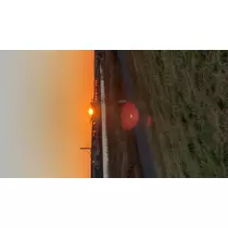 あみ