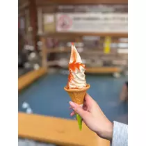 佐野 エマ
