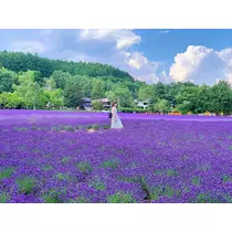 りか