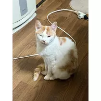 寒河江 春紀