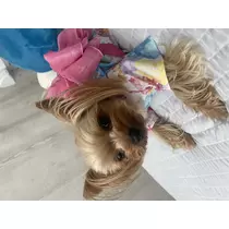 まる