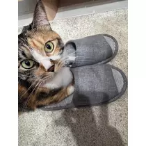 七夕 ゆき