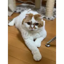 れみ