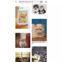さくら