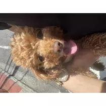 にも