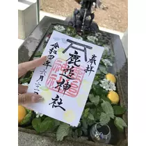 紫月 あやか