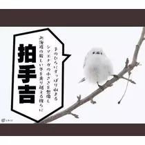 ひな