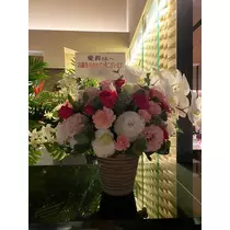 白石 愛莉