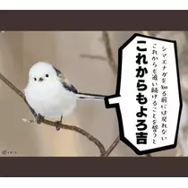 ひな