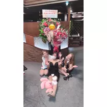 椿