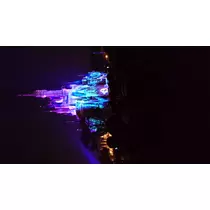 りほ