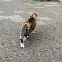 ひじり