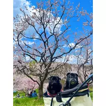 綾瀬 優