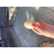 えれな♥えりぴ