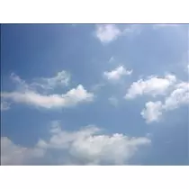 コウ