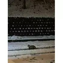 ちひろ