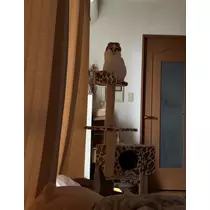 れみ