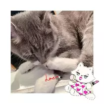 なな