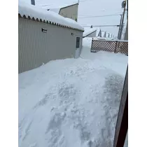 桐島 りゅう