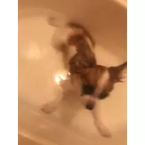 ティナ