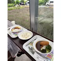 涼夏 みな