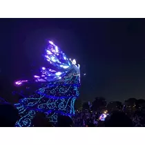 夏樹 あや