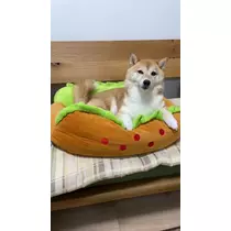 ツンデレかなの