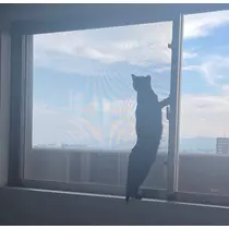 こう