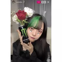 七星 夏純